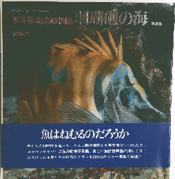 写真集脂肪量瑚礁の海