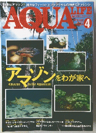 AQUA　LIFE　2016年4月号