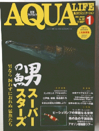 AQUA　LIFE　2003年1月
