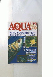 アクアライフ　1999年8月号