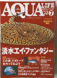 アクアライフ　2003年7月号