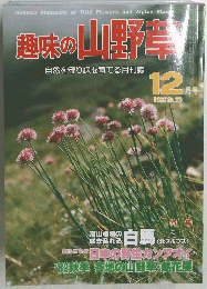 趣味の山野草　12