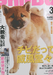シーバ　2004年3月