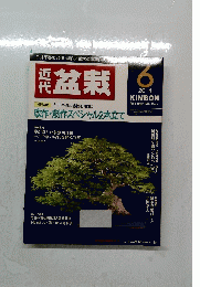 近代　盆栽　2014　6