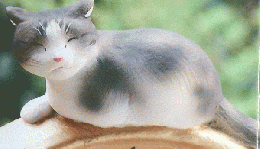 猫からの贈り物　