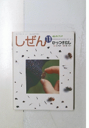 しぜん　11