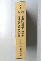 第180集　熊ヶ平遺跡発掘調査報告書　板子塚遺跡発掘調査報告書