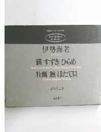 伊勢海老　鯛 すずきひらめ　牡蠣鮑 ほたて貝