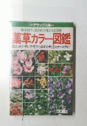 薬草カラー図鑑