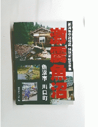 激震魚沼