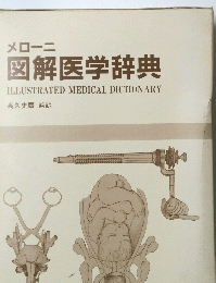 メローニ 図解医学辞典