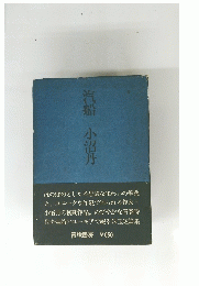 汽船小沼丹