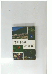 清川村の花図鑑