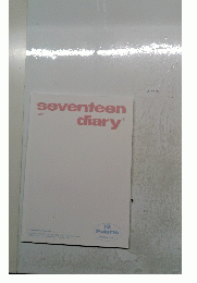 seventeen diary