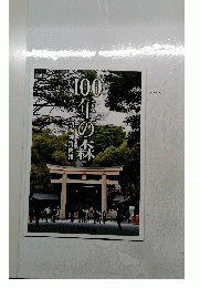 100年の森