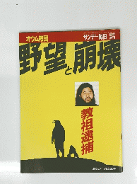 野望と崩壊