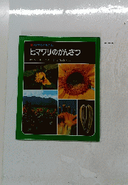 科学のアルバム　ヒマワリのかんさつ