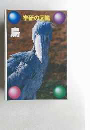 学研の図鑑　鳥