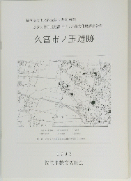 久富市ノ玉遺跡　１９９３年