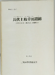 長伏上塩辛田遺跡　1992年号