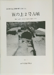 面の上2号古墳　福岡県山門郡山川町大字清水所在古墳の調査　１９９３年号