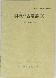 羽根戸古墳群(3) 1993