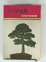 八つ房盆栽