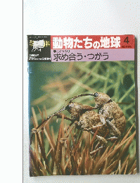 動物たちの地球　4