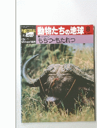 朝日百科動物たちの地球　8