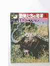 朝日百科動物たちの地球　8