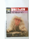 動物たちの地球　1991年8月25日号