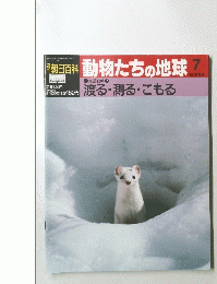 動物たちの地球　1991年8月4日号
