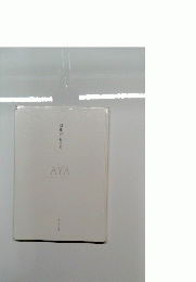  AYA 