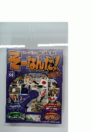 こーなんだ!　歴史編　84