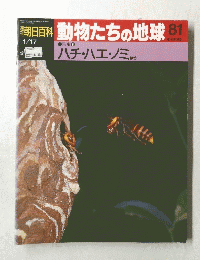 動物たちの地球81　１月１７日号