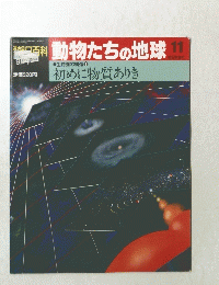 動物たちの地球11