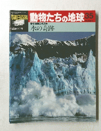 動物たちの地球　35