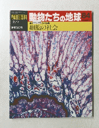 動物たちの地球84