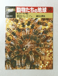 動物たちの地球36　３月１日号