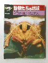 科動物たちの地球78　１２月２０日号
