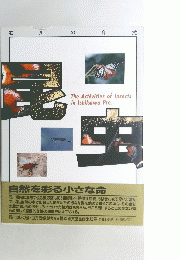 The Activities of Insects in Ishikawa Pre