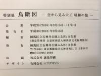 鳥瞰図 (ちょうかんず) : 空から見る大正昭和の旅 : 特別展