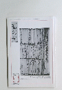 書の光　2003年3月号