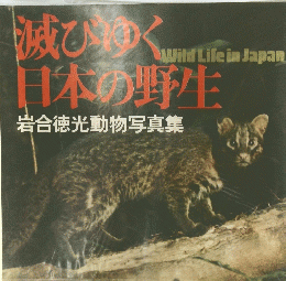 滅びゆく日本の野生