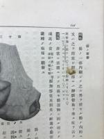 家畜内科学　上巻