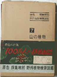 山の植物 7