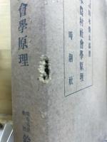 日本農村社会学原理