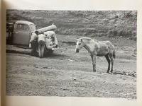 Photographs and anti-photographs　