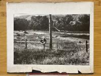 Photographs and anti-photographs　