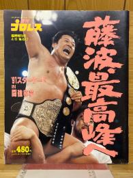 週刊プロレス　1991年4月臨時増刊号　No.427